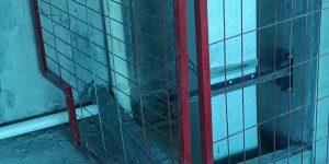 WhatsApp Image 2025-08-17 at 5.08.53 PM (1)